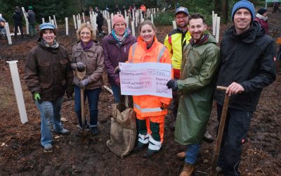 Überragende Teilnahme bei Pflanzaktion im Wald