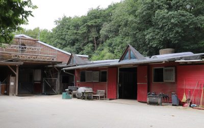 Auf’m Rücken der Pferde liegt’s Glück dieser Erde