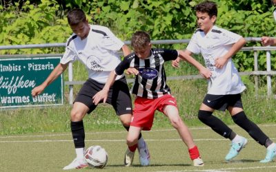 Zebras legen nach 1:3 Protest ein
