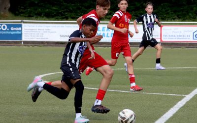 Zebras spielen in der Niederrheinliga