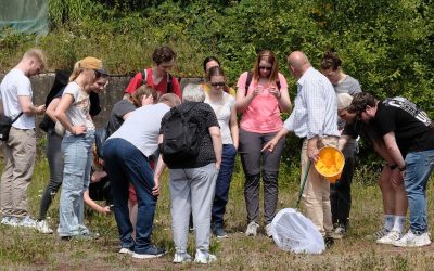 Sommerfest in der Natur-Schule Grund