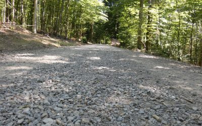 Wege im Talsperrenwald: Stadt bittet um Geduld