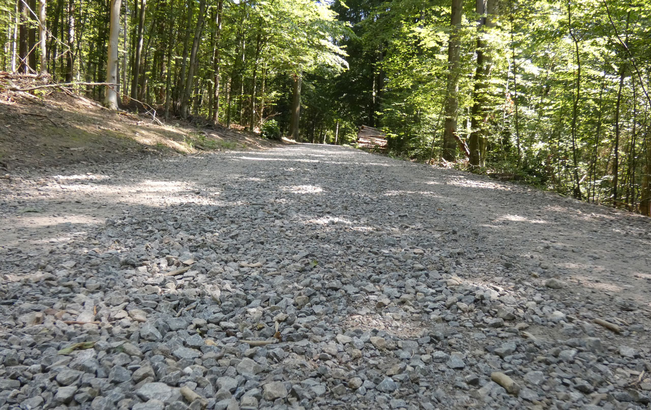 Wege im Talsperrenwald: Stadt bittet um Geduld