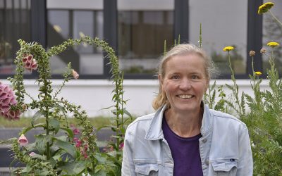 Landpflanzen-Evolution in nur fünf Pflanzkästen