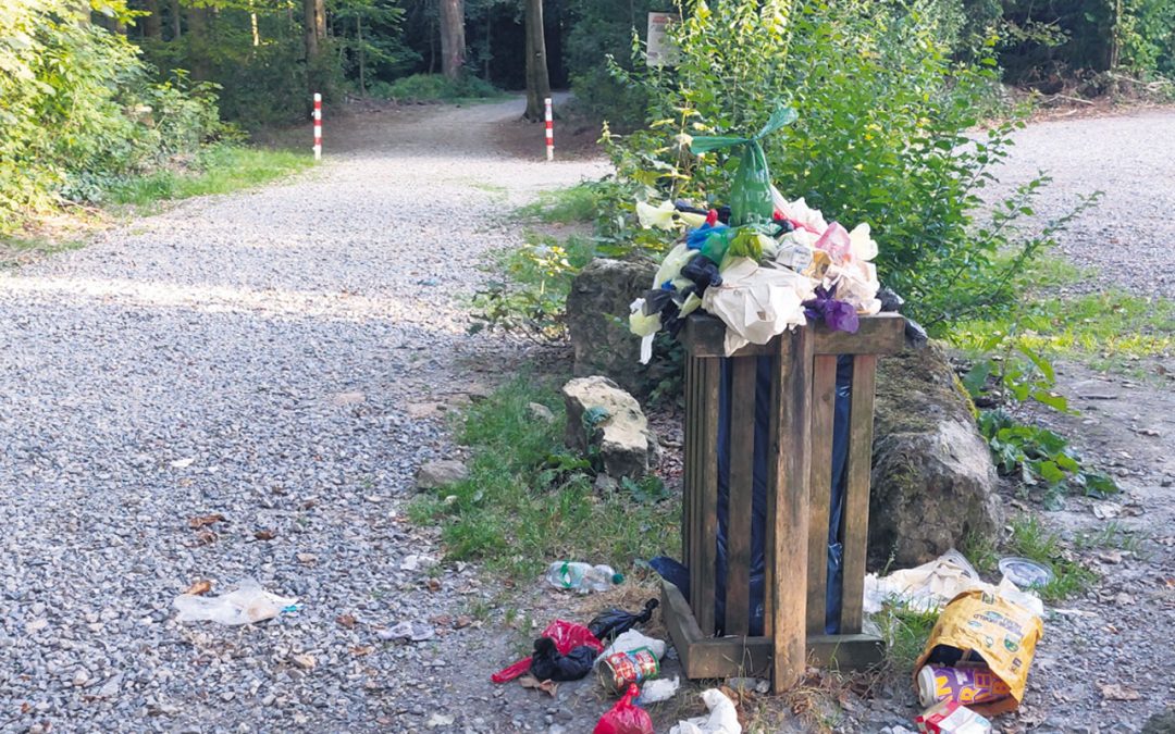 Schotterwege rund um die Talsperre