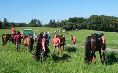 Industriebrachen nutzen, statt Natur zu zerstören